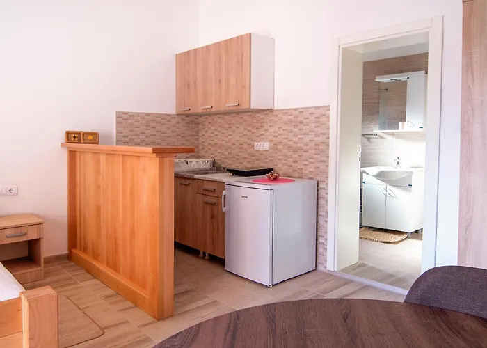 Tankosic Apartment Svestica