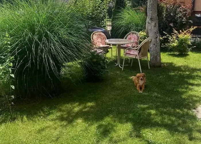 Tankosic Apartment *